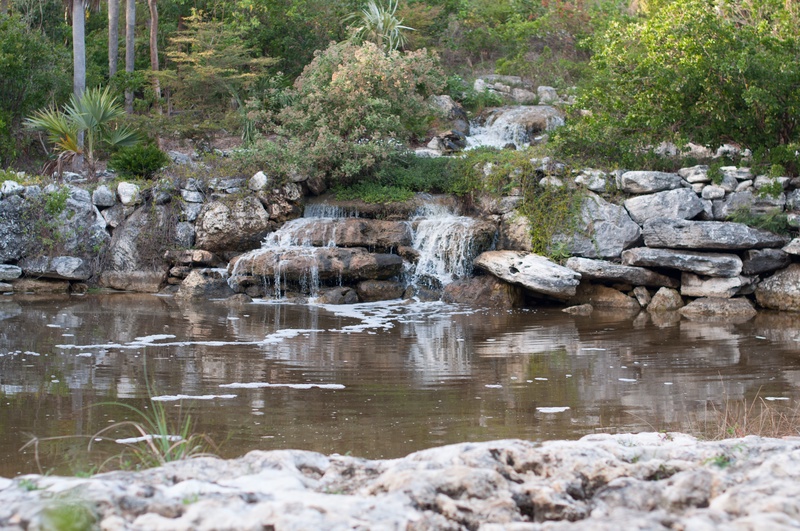 _DSC0160